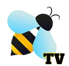 BeeTV APK